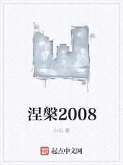 涅槃2008封面